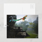 Quetzel in Tikal Briefkaart (Voorkant / Achterkant)