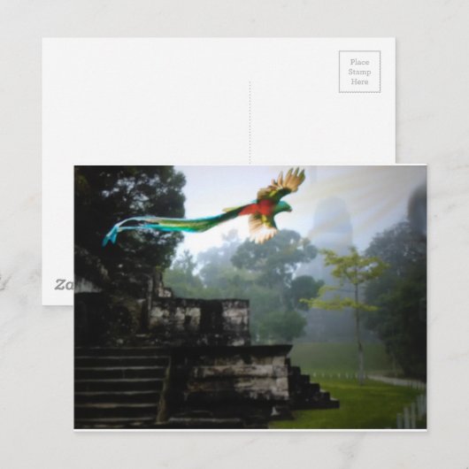 Quetzel in Tikal Briefkaart (Voorkant / Achterkant)