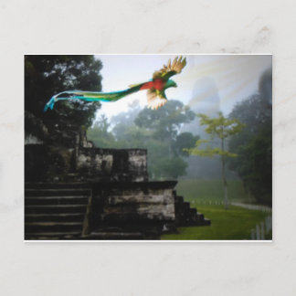 Quetzel in Tikal Briefkaart