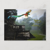 Quetzel in Tikal Briefkaart (Voorkant)
