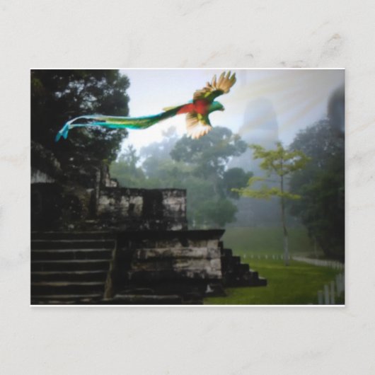 Quetzel in Tikal Briefkaart (Voorkant)