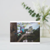 Quetzel in Tikal Briefkaart (Staand voorkant)