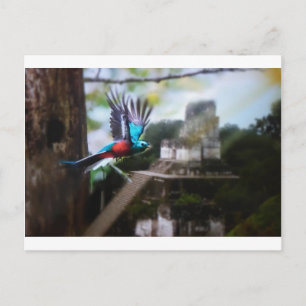 Quetzel in Tikal Briefkaart