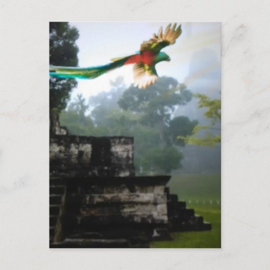 Quetzel in Tikal Briefkaart (Voorkant)