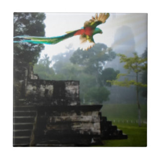Quetzel in Tikal Tegeltje