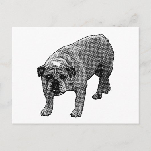 Quick Cheer Bulldog Briefkaart (Voorkant)