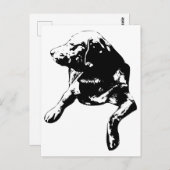 Quick Hello, Head-Turn Lab Briefkaart (Voorkant / Achterkant)