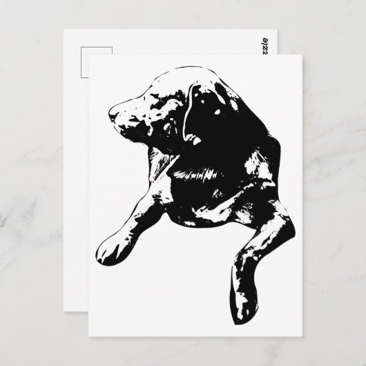 Quick Hello, Head-Turn Lab Briefkaart (Voorkant / Achterkant)