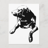 Quick Hello, Head-Turn Lab Briefkaart (Voorkant)