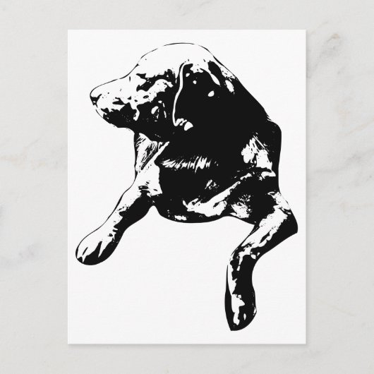 Quick Hello, Head-Turn Lab Briefkaart (Voorkant)