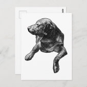 Quick Hello with Fine Dots Briefkaart (Voorkant / Achterkant)