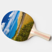 Quicksand stream vlakbij 90-Mile Beach, Nieuw-Zeel Tafeltennisbatje (Zijkant)