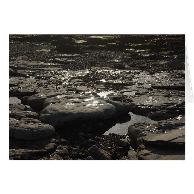 Quickzilver (Voorkant Horizontaal)