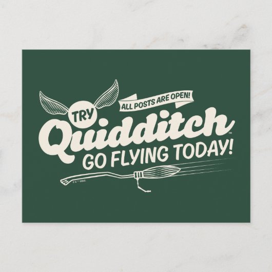 QUIDDITCH™ Recruitment Poster Briefkaart (Voorkant)