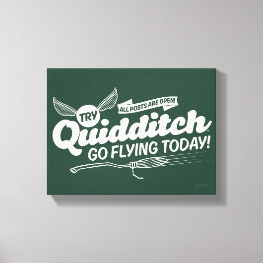 QUIDDITCH™ Recruitment Poster Canvas Afdruk (Voorkant)