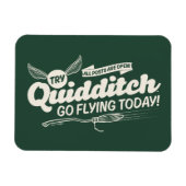 QUIDDITCH™ Recruitment Poster Magneet (Horizontaal)
