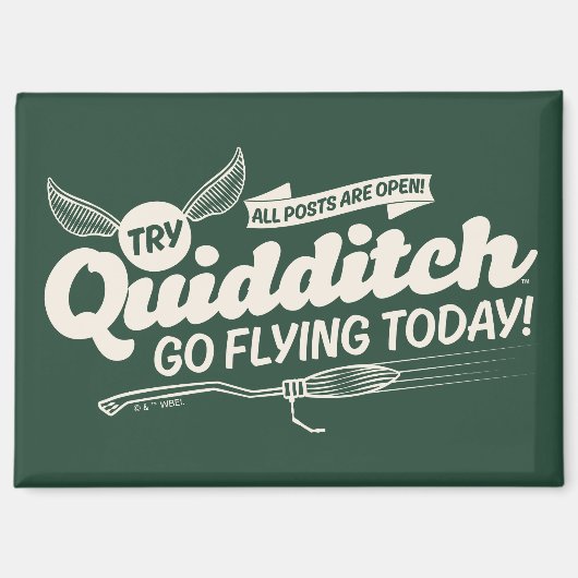 QUIDDITCH™ Recruitment Poster Magneet (Voorkant)