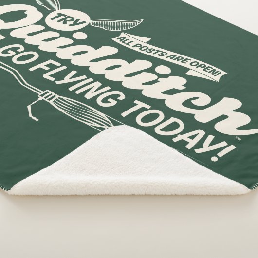 QUIDDITCH™ Recruitment Poster Sherpa Deken (3/4)