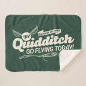 QUIDDITCH™ Recruitment Poster Sherpa Deken (Voorkant (horizontaal))