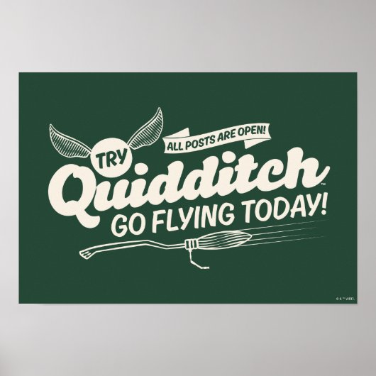 QUIDDITCH™ Wervingsbord Poster (Voorkant)