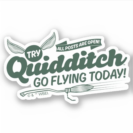 QUIDDITCH™ Wervingsfolder Sticker (Voorkant)