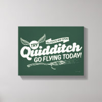 QUIDDITCH™ WervingsPoster