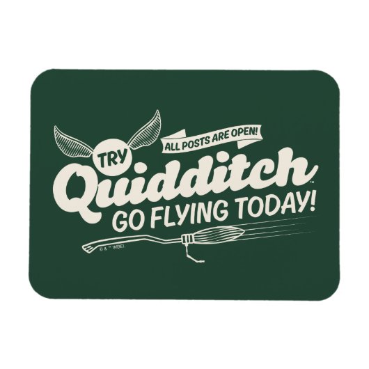 QUIDDITCH™ WervingsPoster Magneet (Horizontaal)