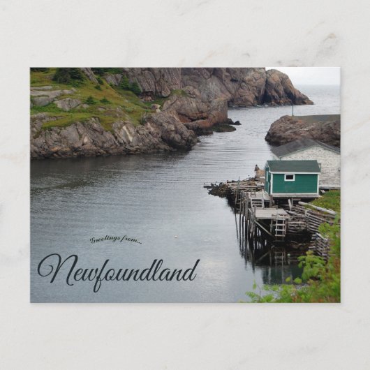 Quidi Vidi Newfoundland Canada Briefkaart (Voorkant)