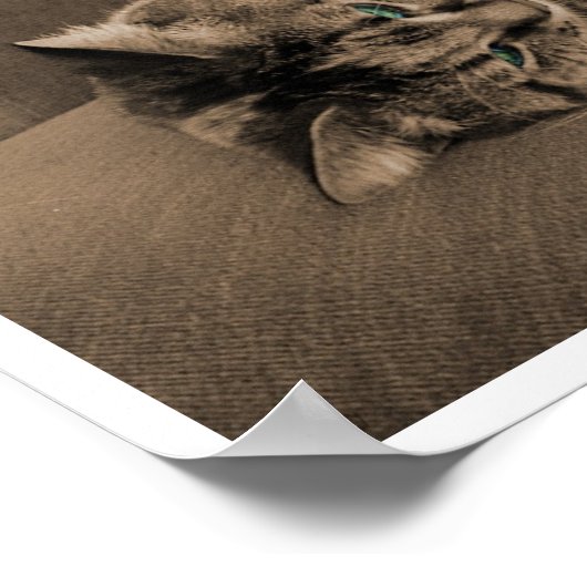 Quiescentie in Rust Poster (Hoek)