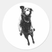 Quiet ball carry ronde sticker (Voorkant)