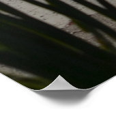 Quiet Beach Poster (Hoek)