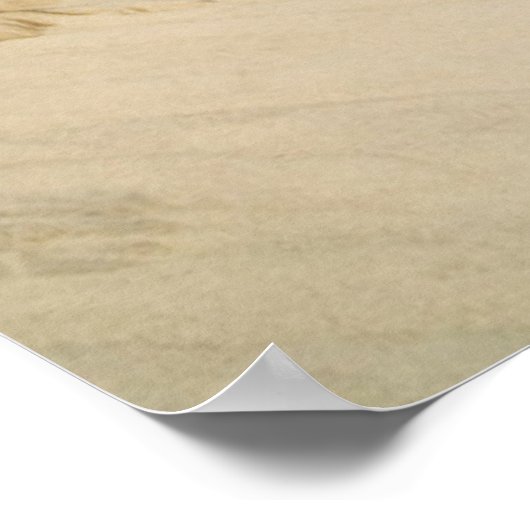Quiet Beach Poster (Hoek)