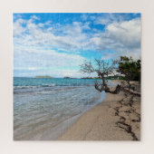 Quiet Beach - St Croix, USVI Puzzle Legpuzzel (Verticaal)