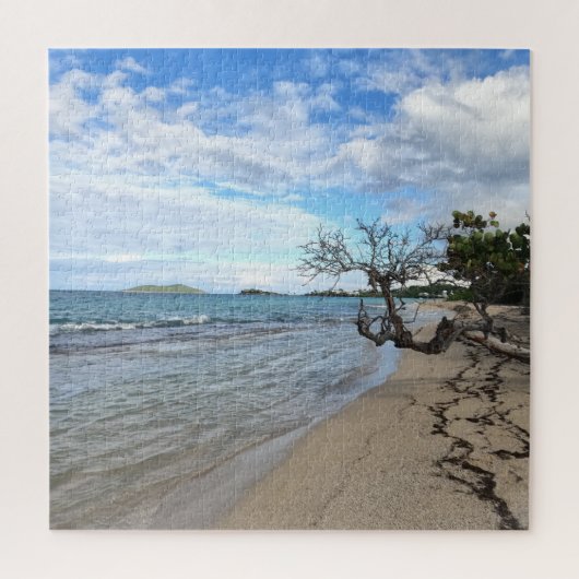 Quiet Beach - St Croix, USVI Puzzle Legpuzzel (Verticaal)