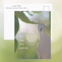 Quiet Bird Moment – Let the Day Unfold Dove Briefkaart