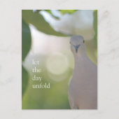 Quiet Bird Moment – Let the Day Unfold Dove Briefkaart (Voorkant)