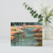 QUIET CANOE DOOR SHARON SHARPE BRIEFKAART (Staand voorkant)