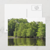 Quiet Cove Briefkaart (Voorkant / Achterkant)