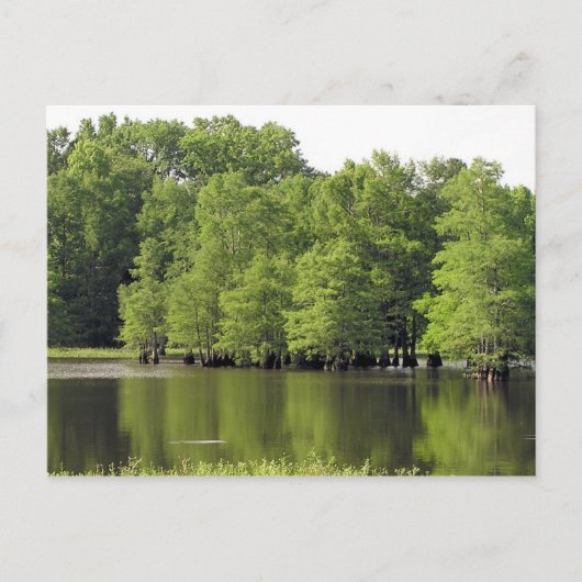 Quiet Cove Briefkaart (Voorkant)