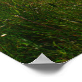 Quiet Dock in the Upper Peninsula Poster (Hoek)