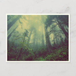 Quiet Forest Briefkaart