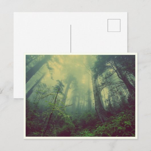 Quiet Forest Briefkaart (Voorkant / Achterkant)