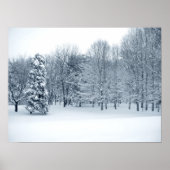 Quiet Forest Poster (Voorkant)