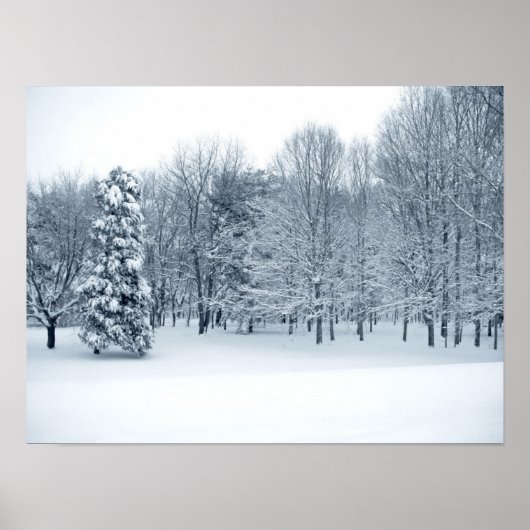 Quiet Forest Poster (Voorkant)