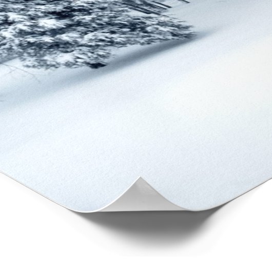 Quiet Forest Poster (Hoek)