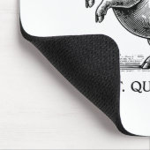 Quiet Ggy Meme Feminist Subtle Humor Protest Resis Muismat (Hoek)