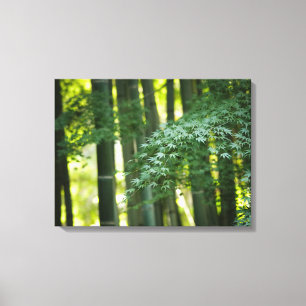 Quiet Japans Bamboe Forest Canvas Afdruk