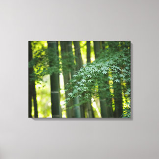 Quiet Japans Bamboe Forest Canvas Afdruk
