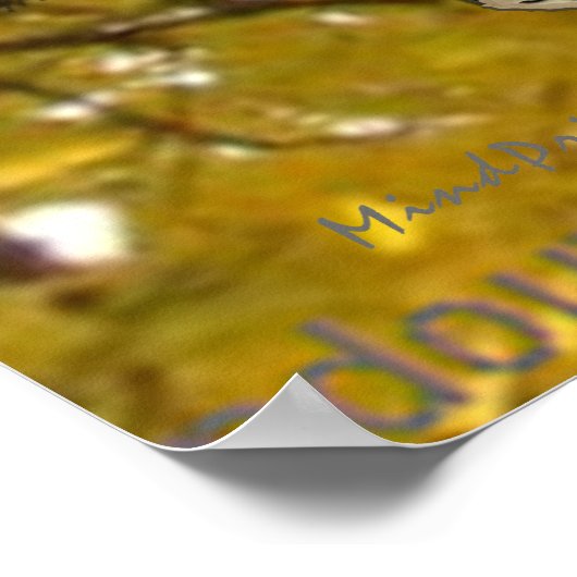 Quiet Kiwi Poster (Hoek)