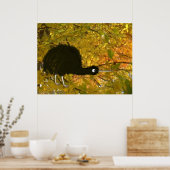 Quiet Kiwi Poster (Keuken)